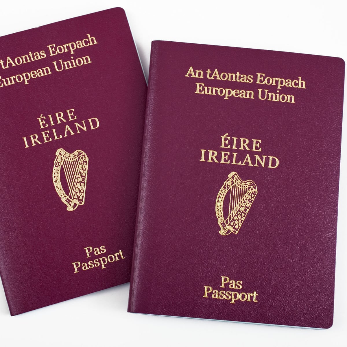 Buy Premium Passport Document Fast & Secure Online 2025