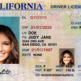 Buy California Driving License
