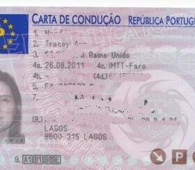 Portuguese Driver’s License