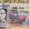 buy a Driver's License Online