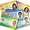 Australian Age Proof Fake ID Card1