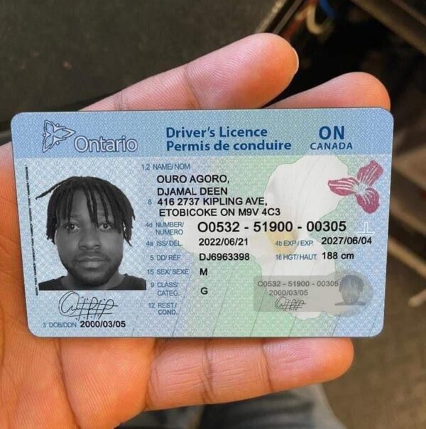 Australian Drivers License