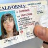 California DL