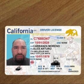 California Driver License