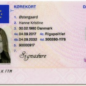 Danish Drivers License