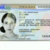 France ID Card