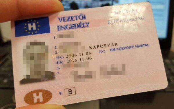 Hungarian Drivers License