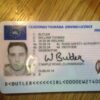 Irish Drivers license