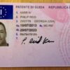 Italian Drivers license