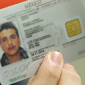 Mexican ID Cards