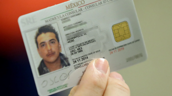 Mexican ID Cards
