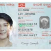 Norwegian ID Cards