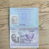 USA Passport