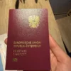 got the new austrian passport v0 fq4mjtdvn4vf1 1 scaled