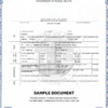 original birth certificate sample